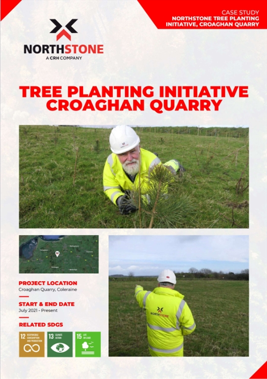 case-study-tree-planting-initative-croaghan-quarry